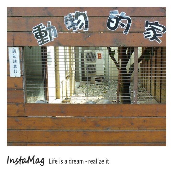 造紙龍手創館：水池裡竟然還有張大樂透圖~造紙龍手創館