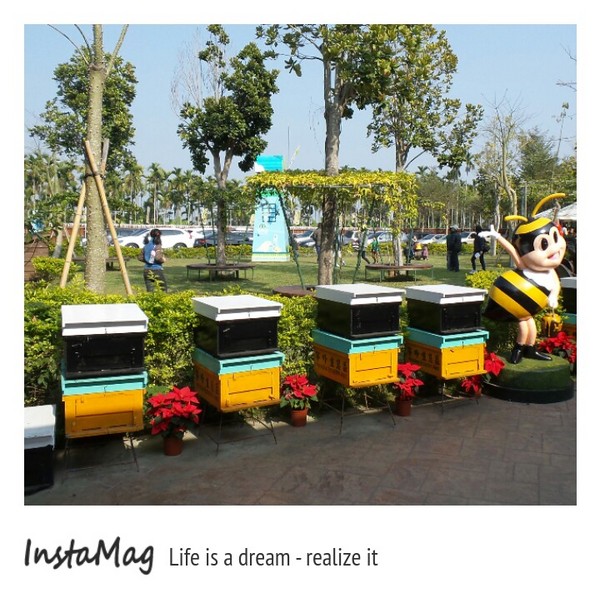 造紙龍手創館：水池裡竟然還有張大樂透圖~造紙龍手創館