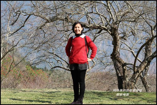 柳家梅園16.JPG
