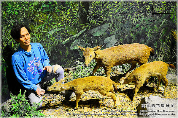 特有生物研究保育中心：【南投】集集鎮。特有生物研究保育中心