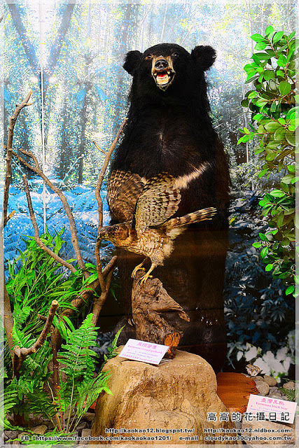 特有生物研究保育中心：【南投】集集鎮。特有生物研究保育中心