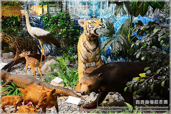 特有生物研究保育中心：【南投】集集鎮。特有生物研究保育中心