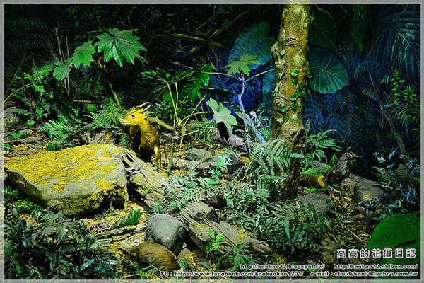 特有生物研究保育中心：【南投】集集鎮。特有生物研究保育中心