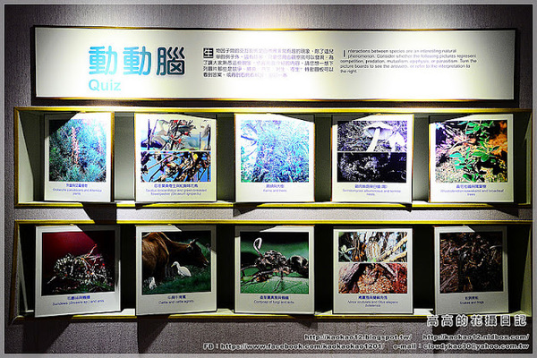 特有生物研究保育中心：【南投】集集鎮。特有生物研究保育中心