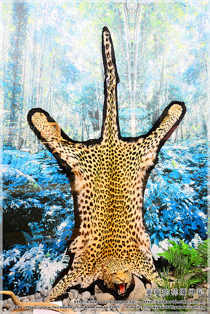 特有生物研究保育中心：【南投】集集鎮。特有生物研究保育中心