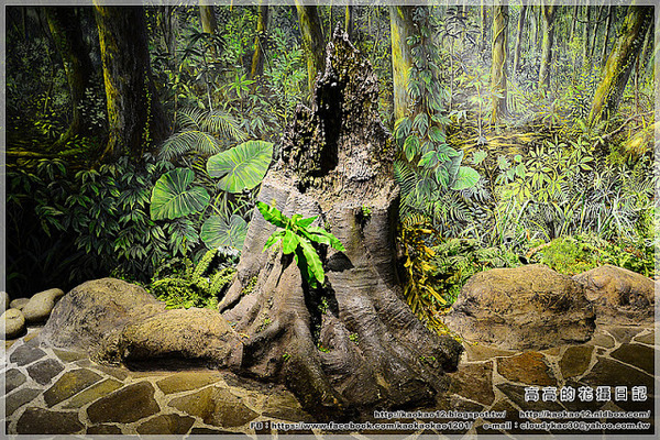 特有生物研究保育中心：【南投】集集鎮。特有生物研究保育中心