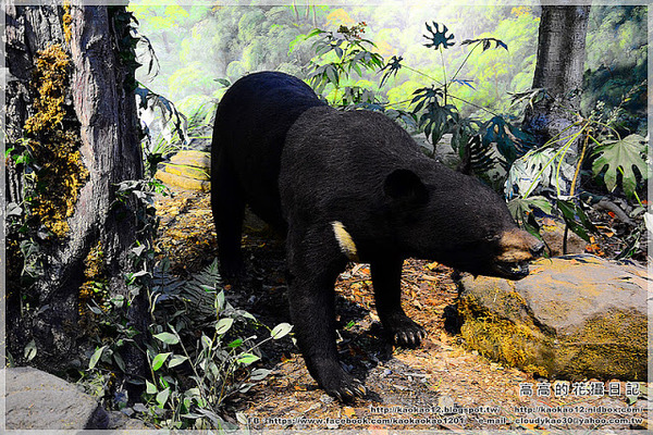 特有生物研究保育中心：【南投】集集鎮。特有生物研究保育中心