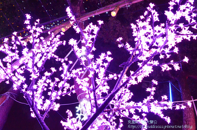 燈會 108_副本.jpg