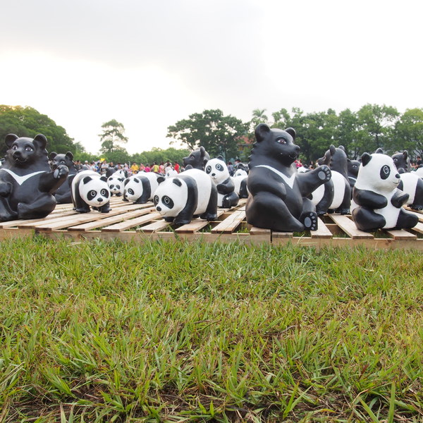 2014「1600 貓熊世界之旅 」：【南投‧中興新村】1600 貓熊世界之旅