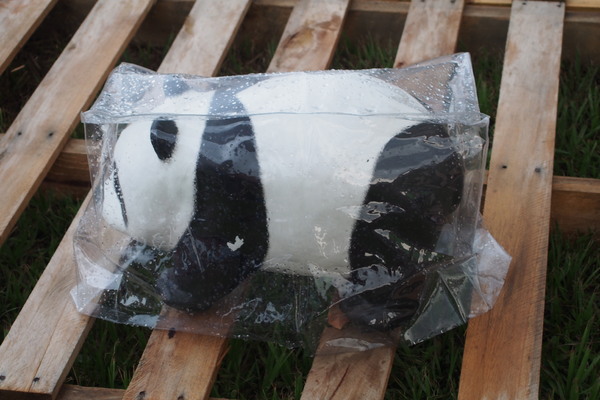 2014「1600 貓熊世界之旅 」：【南投‧中興新村】1600 貓熊世界之旅