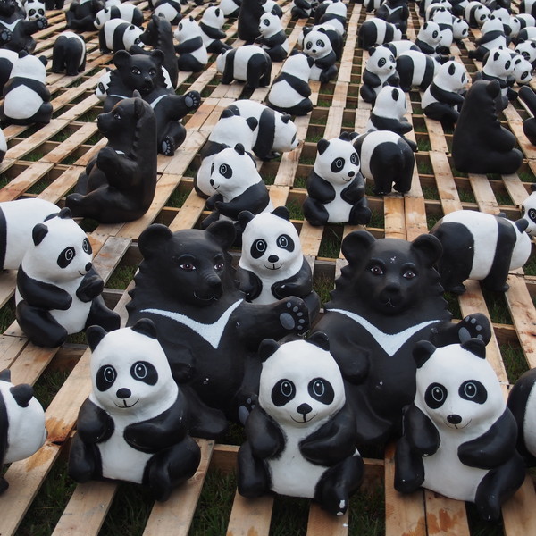 2014「1600 貓熊世界之旅 」：【南投‧中興新村】1600 貓熊世界之旅