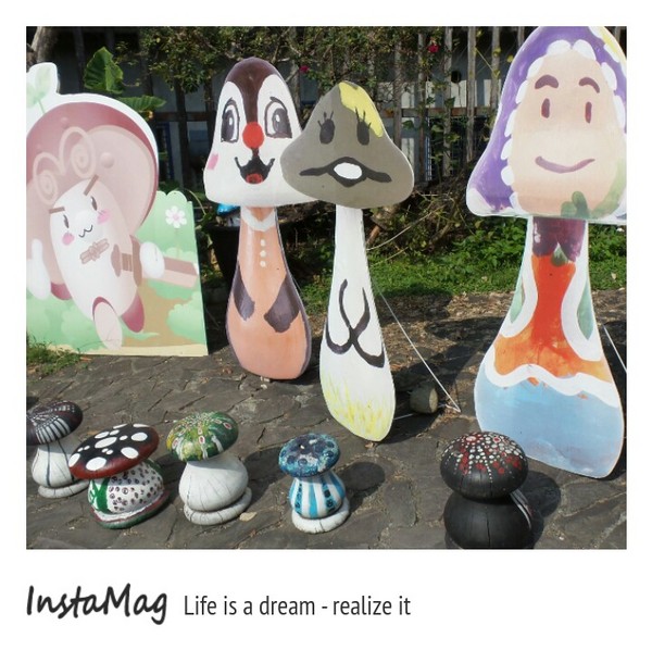 豐年靈芝菇類生態農場:菇之鄉~豐年靈芝菇類生態農場