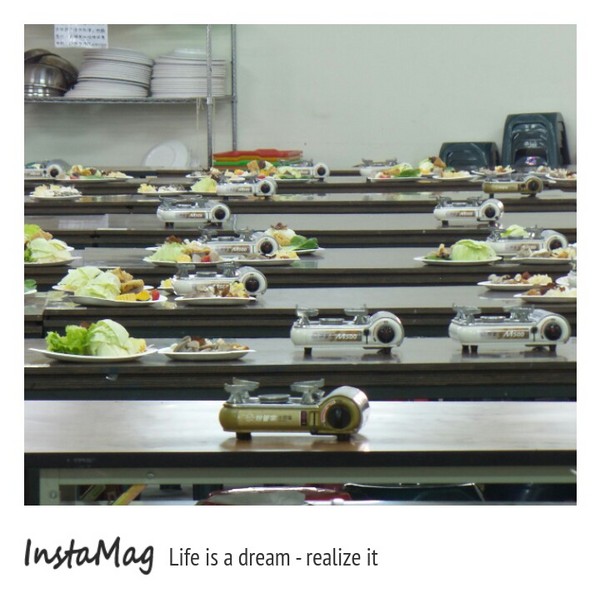 豐年靈芝菇類生態農場:菇之鄉~豐年靈芝菇類生態農場