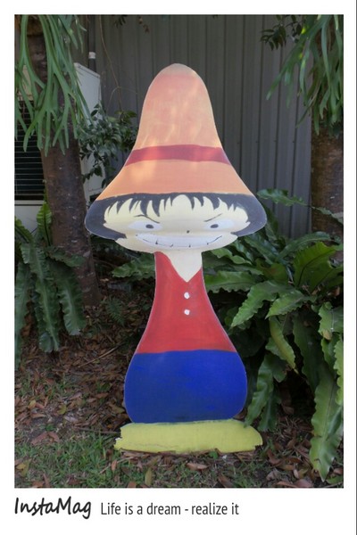 豐年靈芝菇類生態農場:菇之鄉~豐年靈芝菇類生態農場