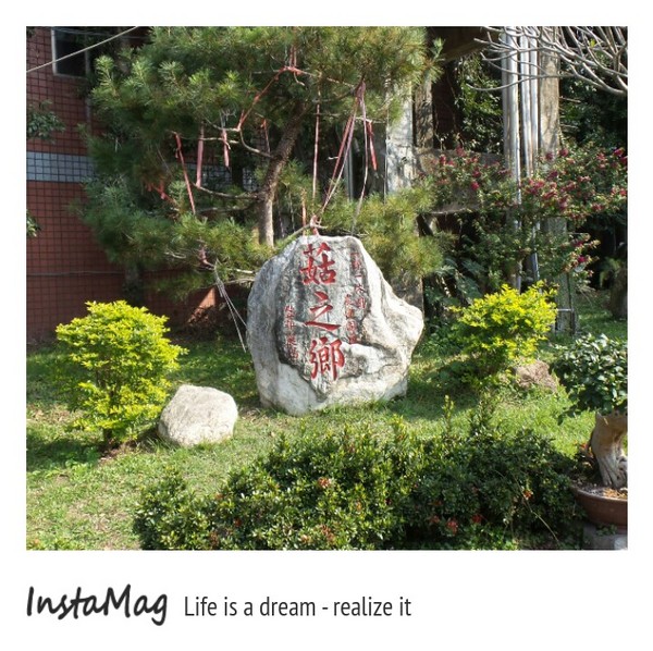 豐年靈芝菇類生態農場:菇之鄉~豐年靈芝菇類生態農場