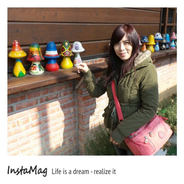 豐年靈芝菇類生態農場:菇之鄉~豐年靈芝菇類生態農場