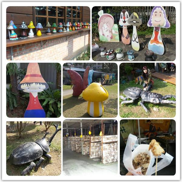 豐年靈芝菇類生態農場:菇之鄉~豐年靈芝菇類生態農場