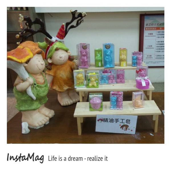 豐年靈芝菇類生態農場:菇之鄉~豐年靈芝菇類生態農場