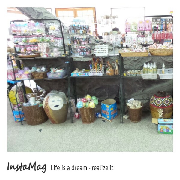 豐年靈芝菇類生態農場:菇之鄉~豐年靈芝菇類生態農場