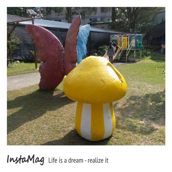 豐年靈芝菇類生態農場:菇之鄉~豐年靈芝菇類生態農場