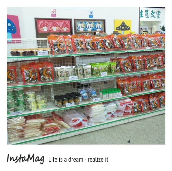 豐年靈芝菇類生態農場:菇之鄉~豐年靈芝菇類生態農場