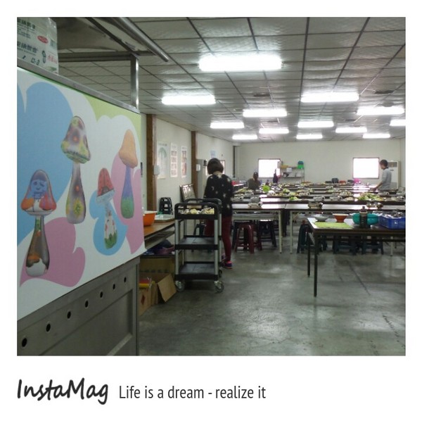 豐年靈芝菇類生態農場:菇之鄉~豐年靈芝菇類生態農場