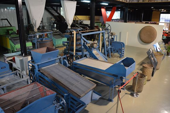 廖鄉長紅茶故事館22