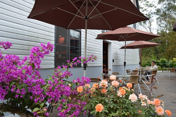 廖鄉長紅茶故事館37