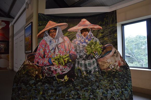 廖鄉長紅茶故事館27