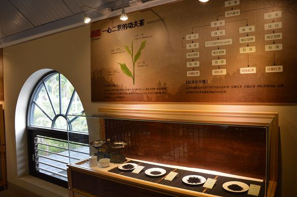 廖鄉長紅茶故事館24