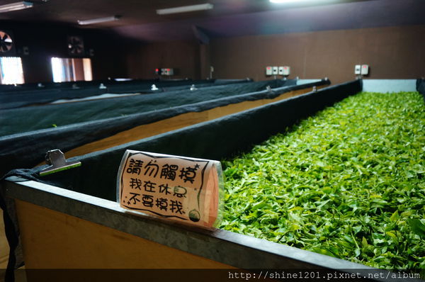 南投魚池埔里景點 廖鄉長紅茶故事館 夢幻歐式莊園