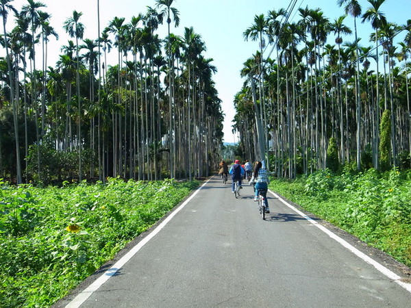 集集十三目仔窯:<活動>南投集集鄉野之旅DAY1文藝線