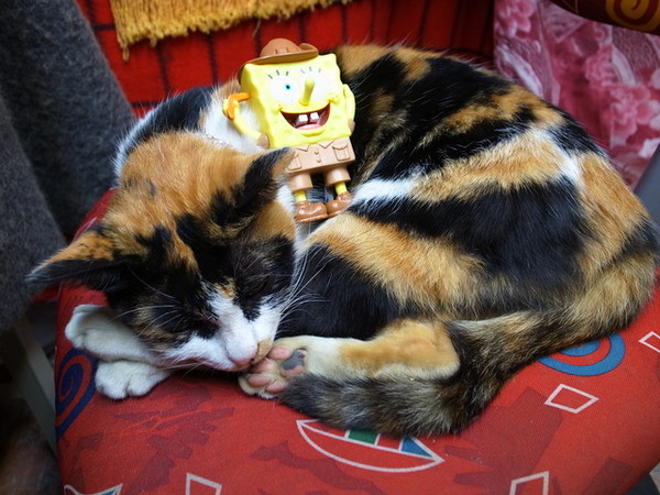 集集十三目仔窯:<活動>南投集集鄉野之旅DAY1文藝線