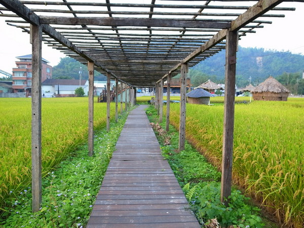 集集十三目仔窯:<活動>南投集集鄉野之旅DAY1文藝線