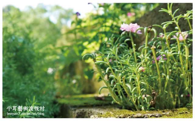 牛耳藝術渡假村-55