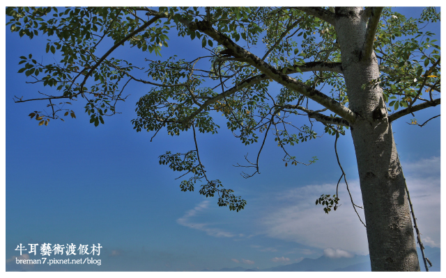 牛耳藝術渡假村-53