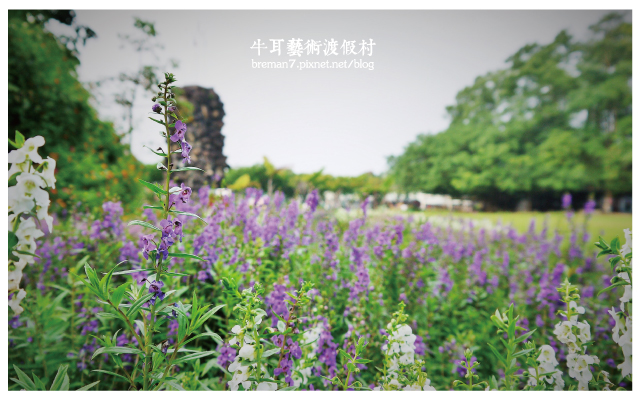 牛耳藝術渡假村-14