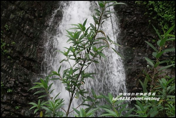 觀音瀑布8.JPG