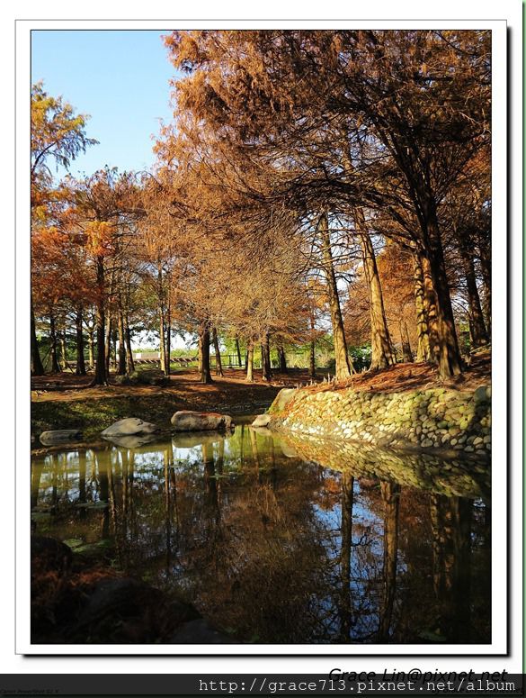 羅東運動公園 (33)