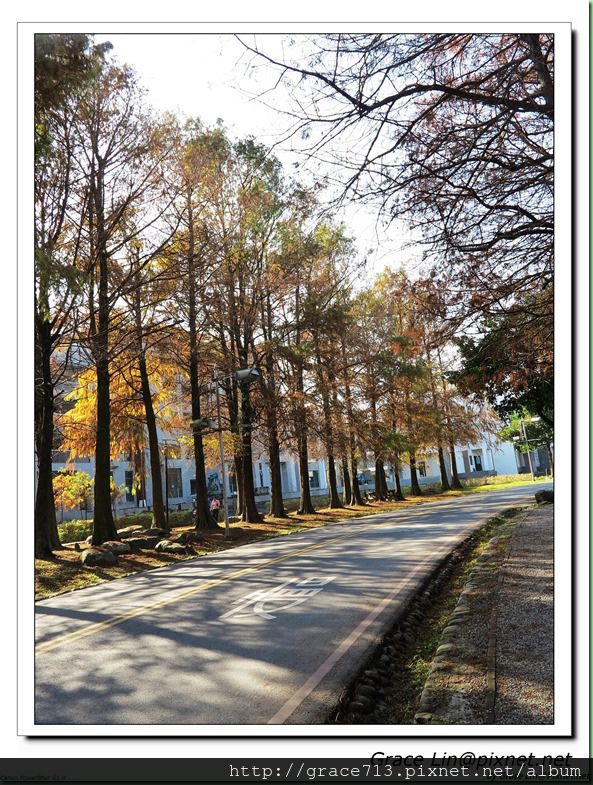 羅東運動公園 (29)