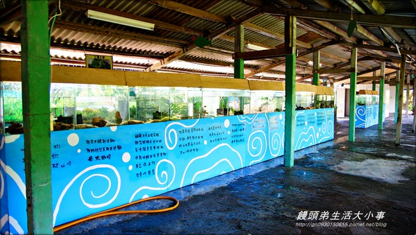 廣興農場:【宜蘭/冬山】親子同樂~鴨母寮豬哥窟♪♪廣興農場♪♪