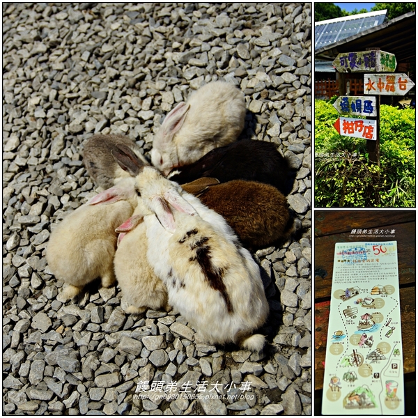 廣興農場:【宜蘭/冬山】親子同樂~鴨母寮豬哥窟♪♪廣興農場♪♪
