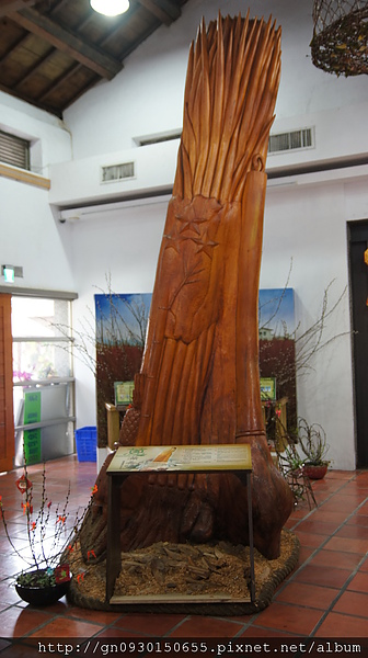 青蔥文化館：【宜蘭縣】三星青蔥文化館