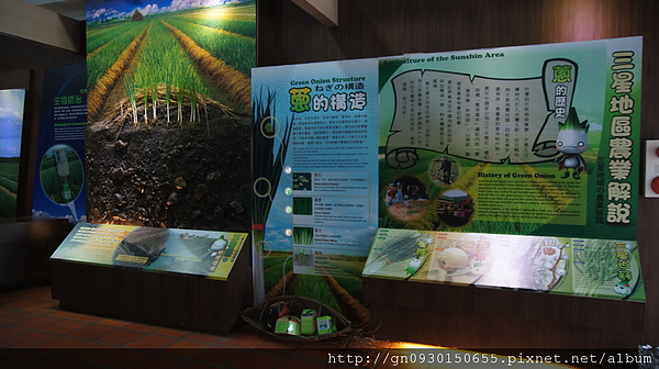 青蔥文化館：【宜蘭縣】三星青蔥文化館