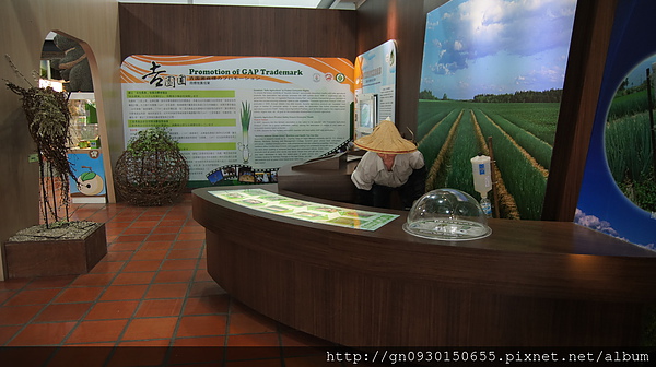 青蔥文化館：【宜蘭縣】三星青蔥文化館