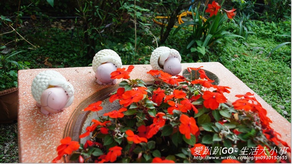 宜蘭宜農牧場：【宜蘭/冬山鄉】親子同樂的好地方~宜農牧場