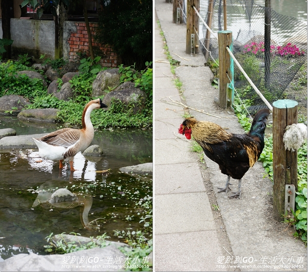 宜蘭宜農牧場：【宜蘭/冬山鄉】親子同樂的好地方~宜農牧場