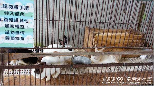 宜蘭宜農牧場：【宜蘭/冬山鄉】親子同樂的好地方~宜農牧場