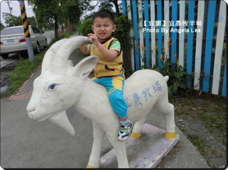 宜蘭宜農牧場:【宜蘭行】第三站:宜農牧羊場♡與羊共舞.小動物超可愛♡