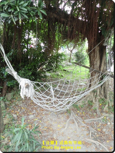 宜蘭宜農牧場:【宜蘭行】第三站:宜農牧羊場♡與羊共舞.小動物超可愛♡